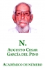 Augusto Cesar García del Pino