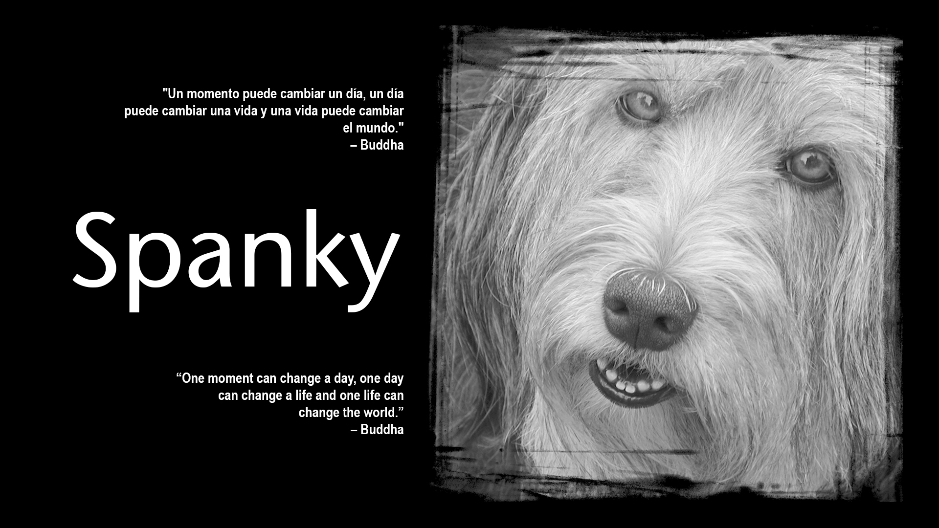 “15 aniversario de Spanky Proyect”